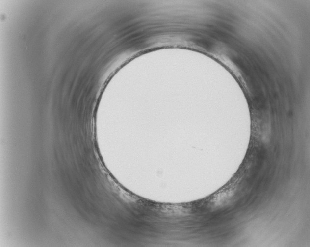 X0000058120807200510212019