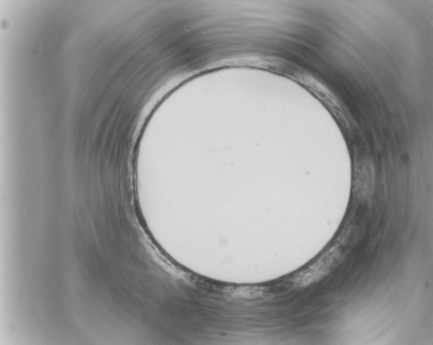 X0000058120808200510212019