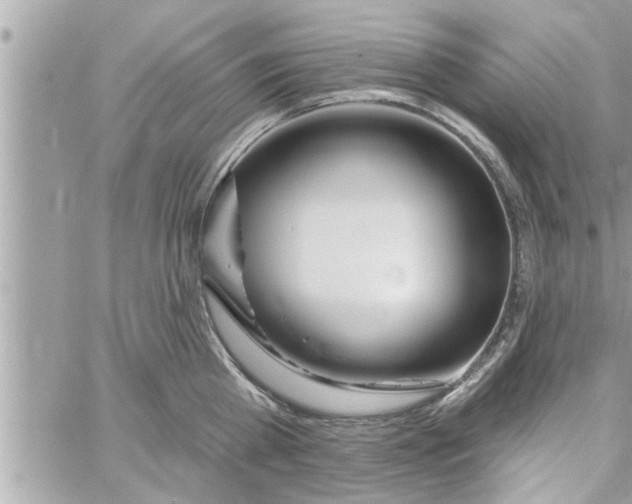 X0000058120809200510212019