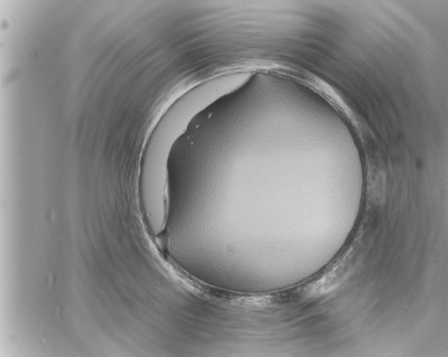 X0000058120810200510212019