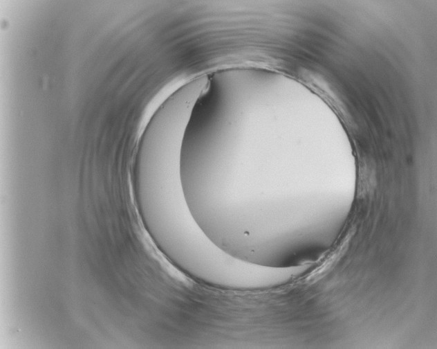 X0000058120812200510212019