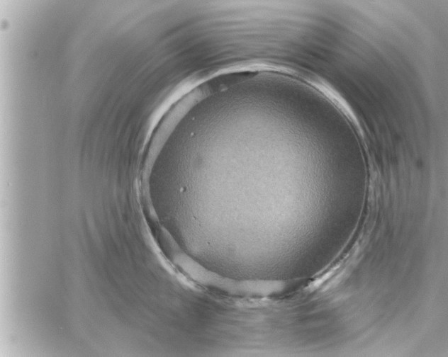 X0000058120813200510212019