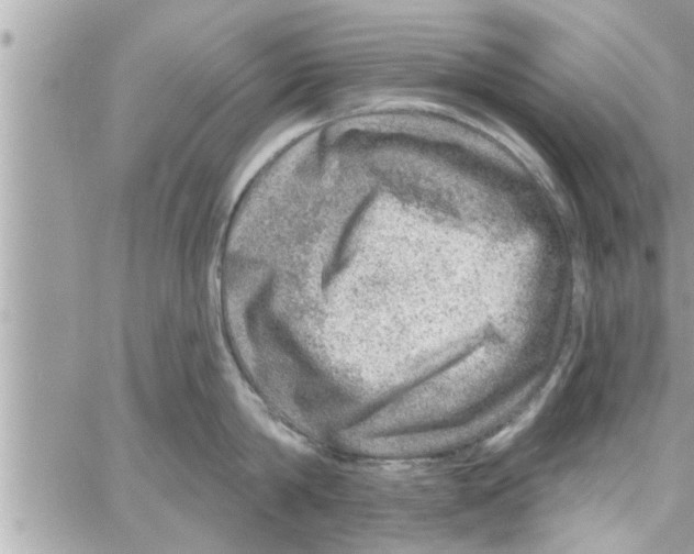 X0000058120814200510212019