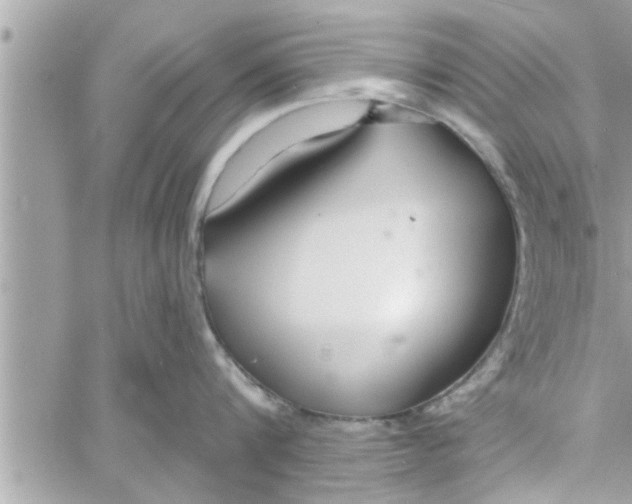 X0000058120816200510212019