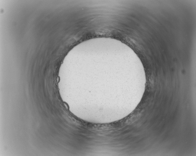 X0000058120817200510212018