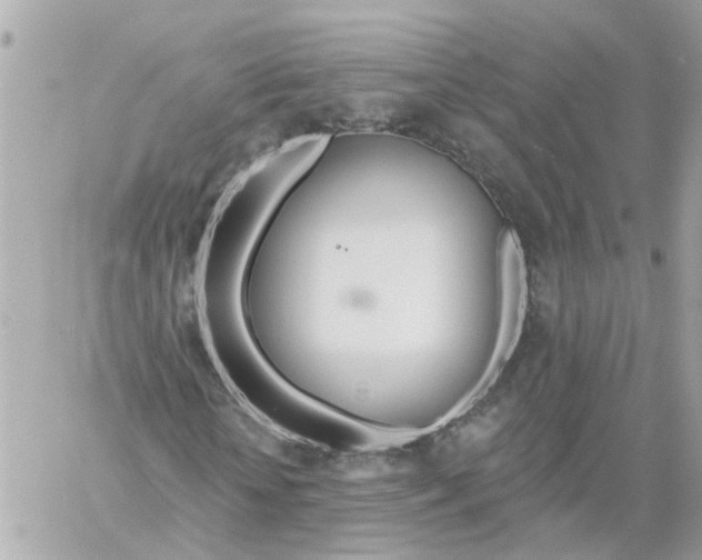 X0000058120818200510212018