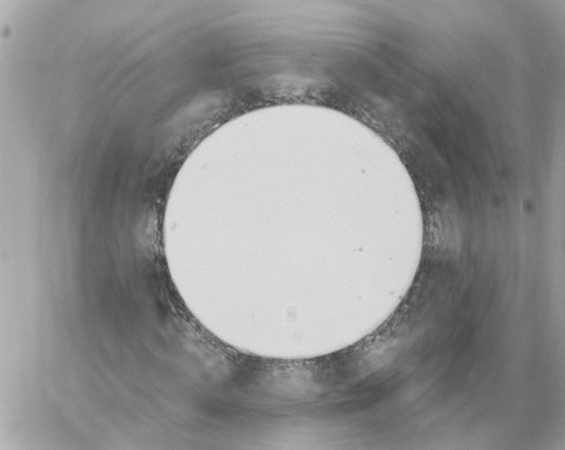 X0000058120820200510212018