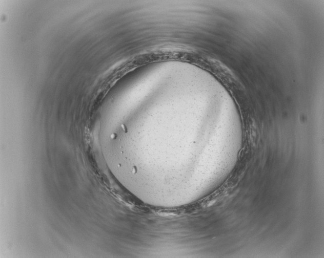 X0000058120821200510212018