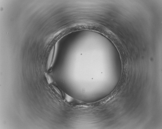 X0000058120822200510212018