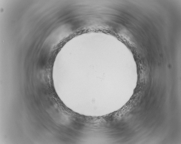 X0000058120824200510212018