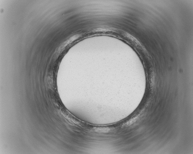 X0000058120825200510212018