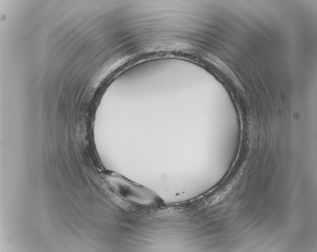 X0000058120826200510212018