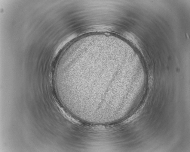 X0000058120827200510212018