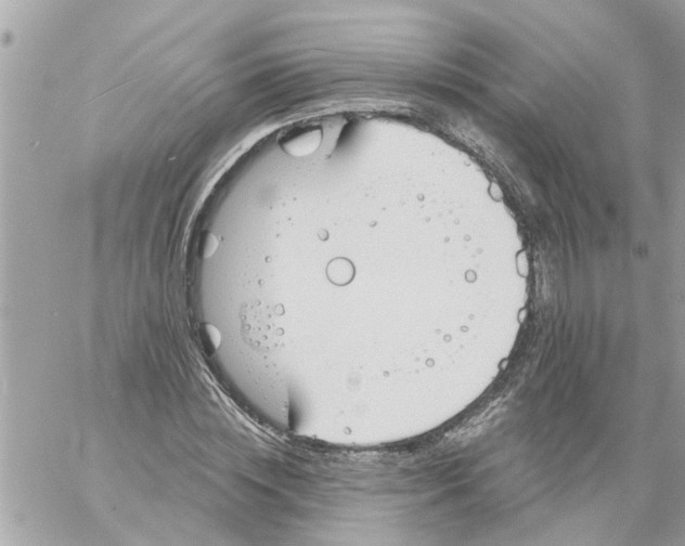 X0000058120828200510212018