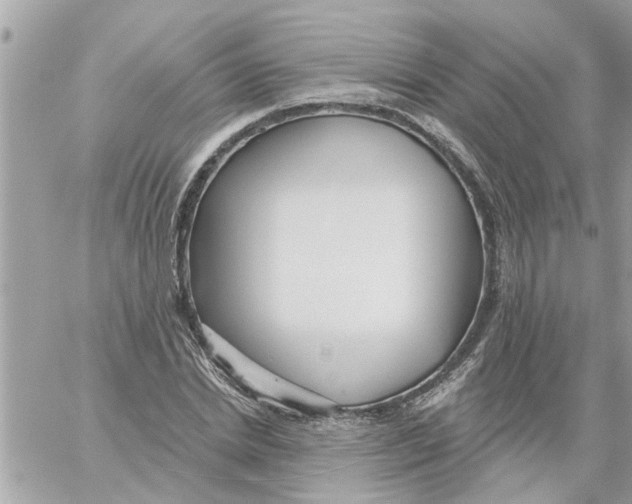 X0000058120830200510212018