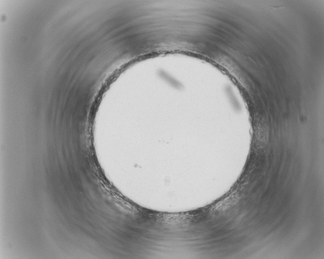 X0000058120832200510212018