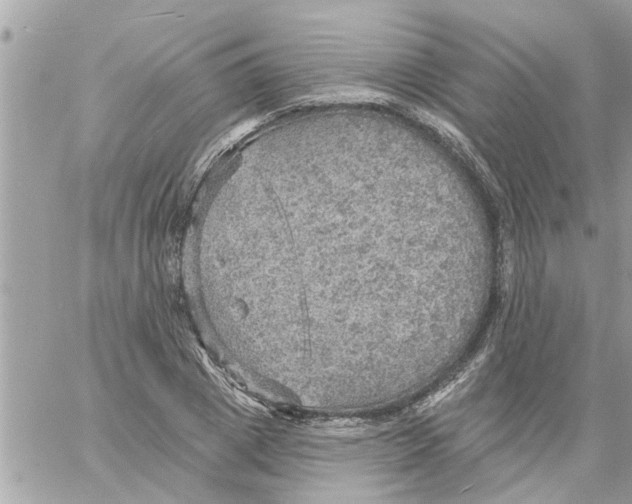 X0000058120833200510212018