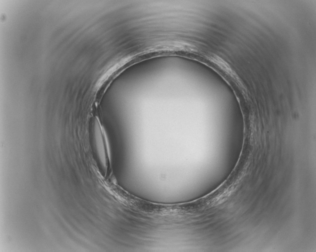 X0000058120834200510212018