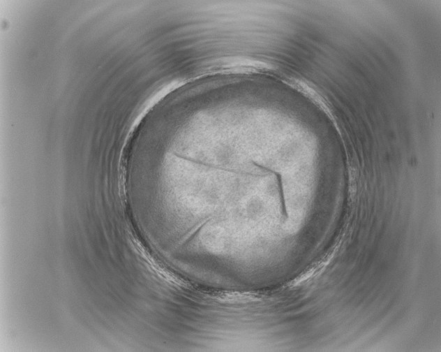 X0000058120835200510212018