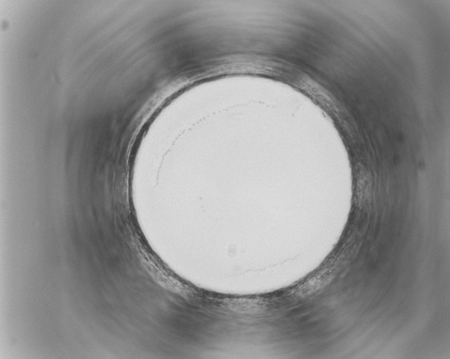 X0000058120836200510212018