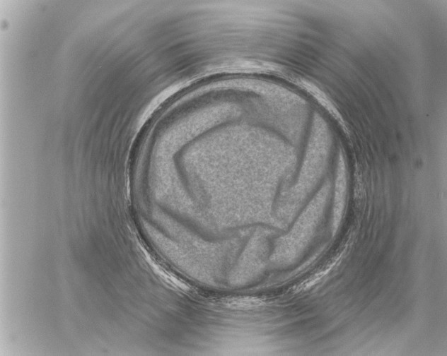 X0000058120837200510212018