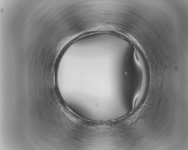 X0000058120838200510212018