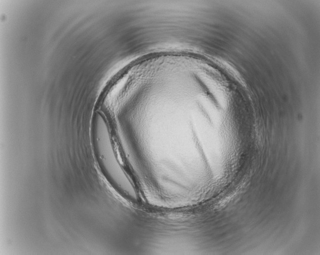 X0000058120839200510212018