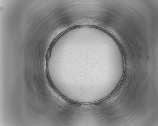 X0000058120840200510212018