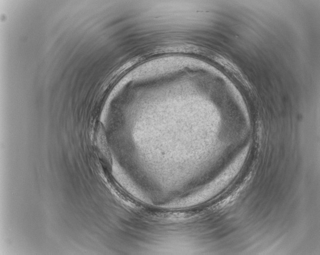 X0000058120841200510212018