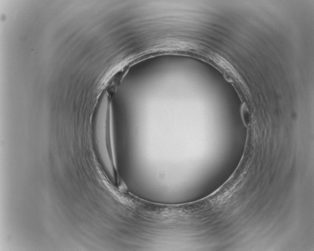 X0000058120842200510212018