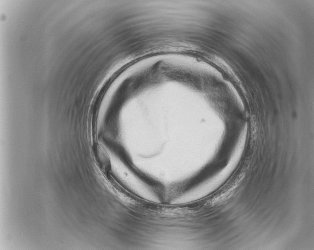 X0000058120843200510212018