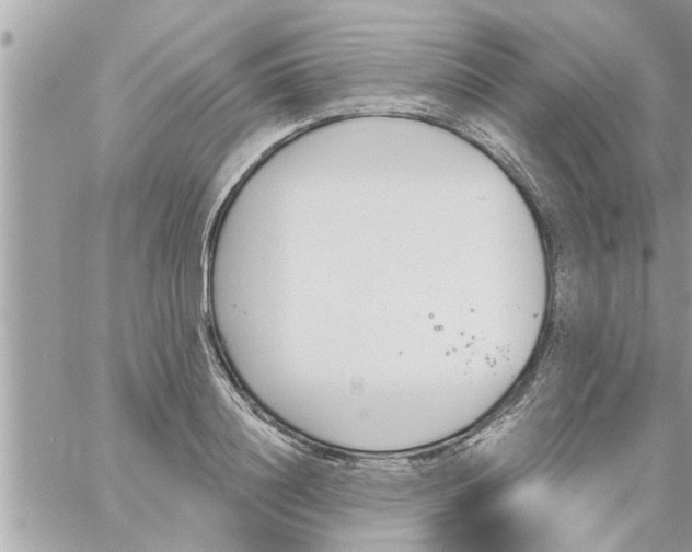 X0000058120844200510212018