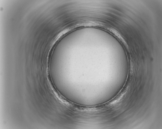 X0000058120845200510212018