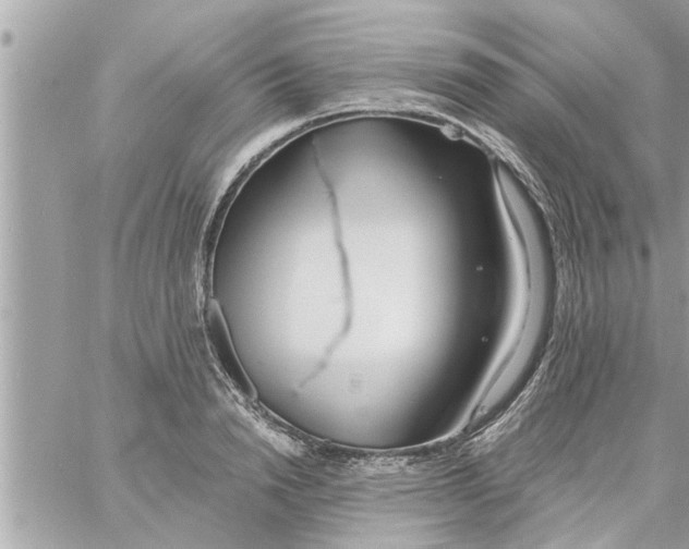 X0000058120846200510212018