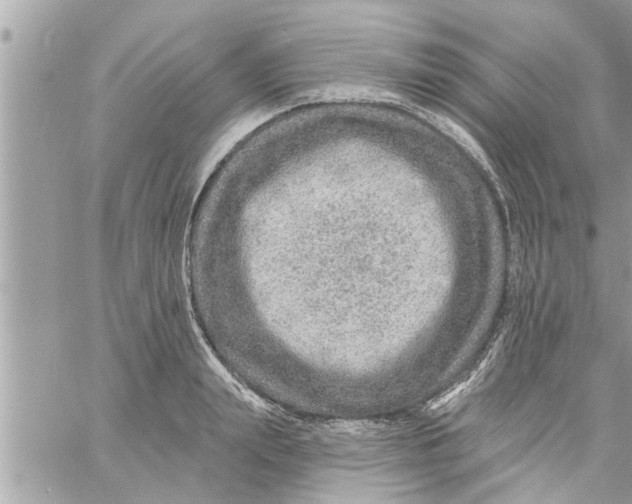 X0000058120847200510212018