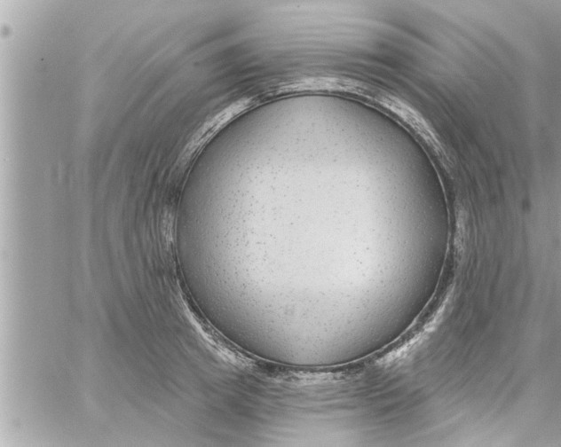 X0000058120849200510212018