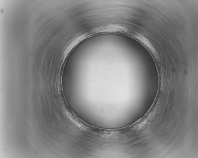 X0000058120850200510212018