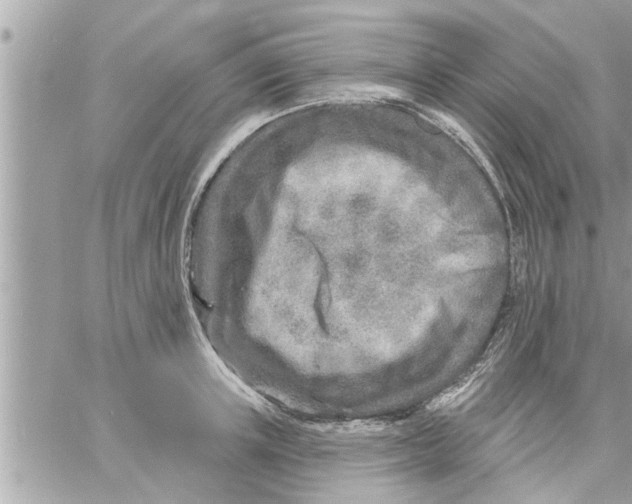 X0000058120851200510212018