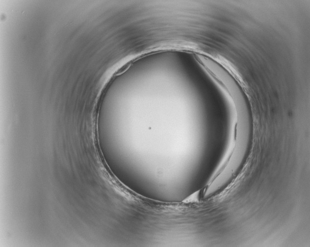 X0000058120854200510212018