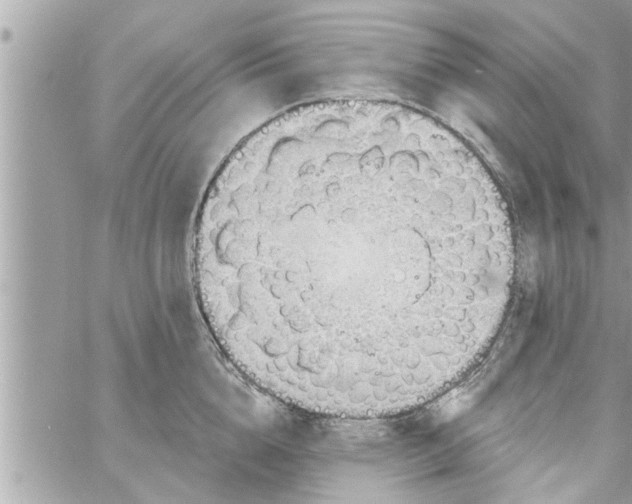 X0000058120856200510212018