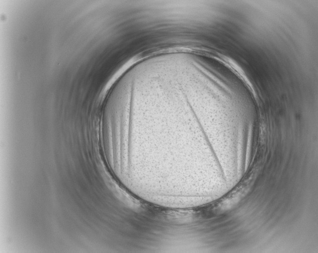 X0000058120859200510212019