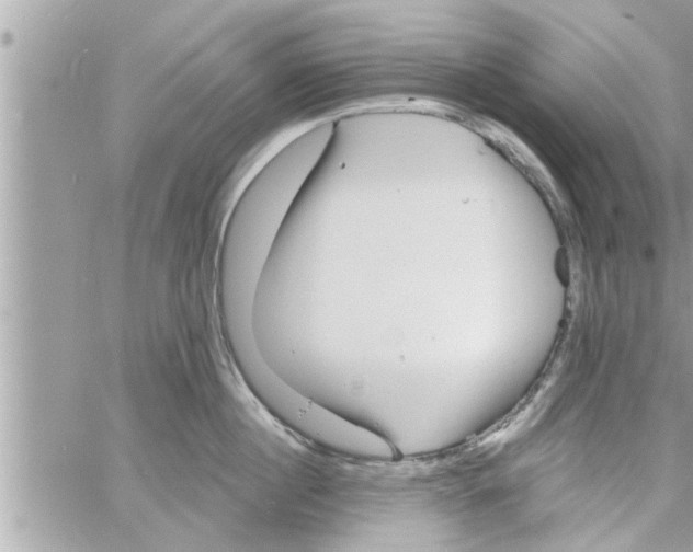 X0000058120860200510212019