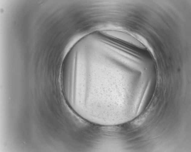 X0000058120863200510212019