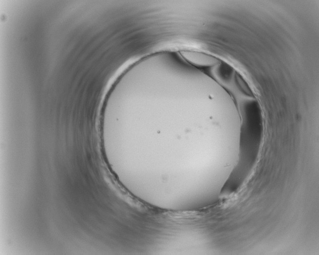 X0000058120864200510212019