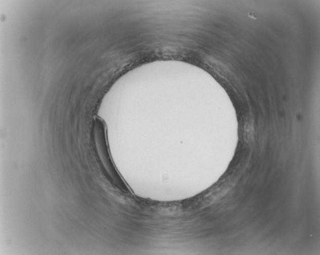 X0000058120865200510212018