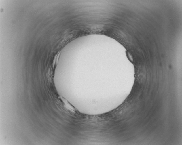 X0000058120866200510212018