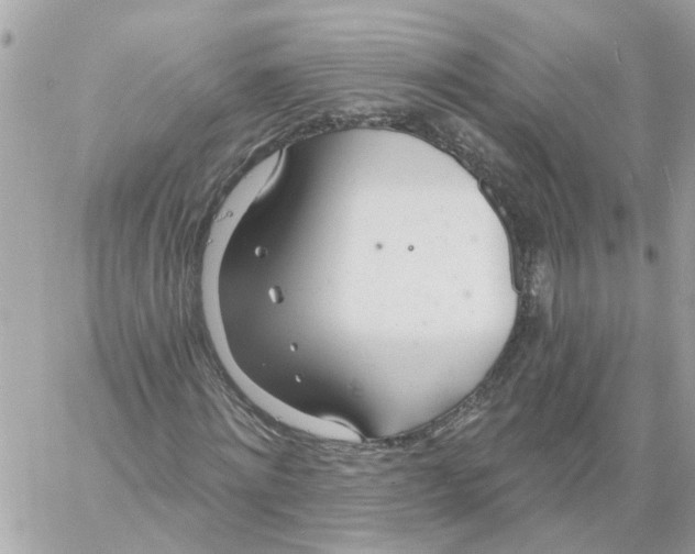 X0000058120868200510212018