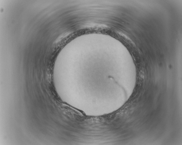 X0000058120869200510212018