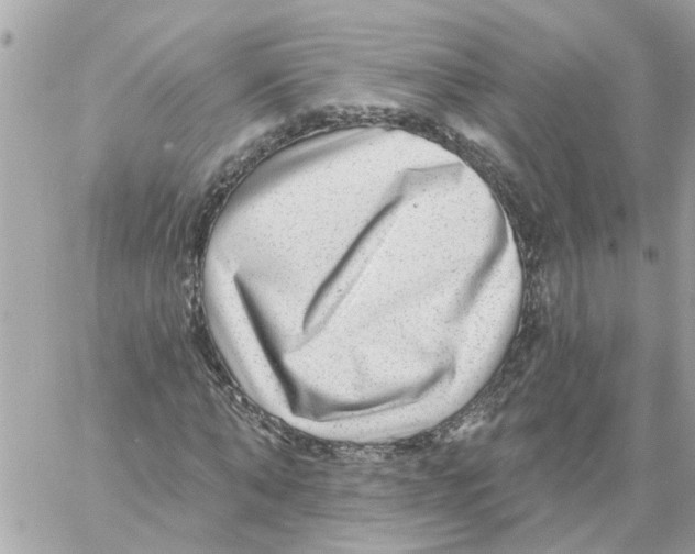 X0000058120870200510212018