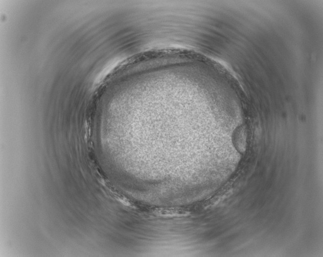 X0000058120871200510212018